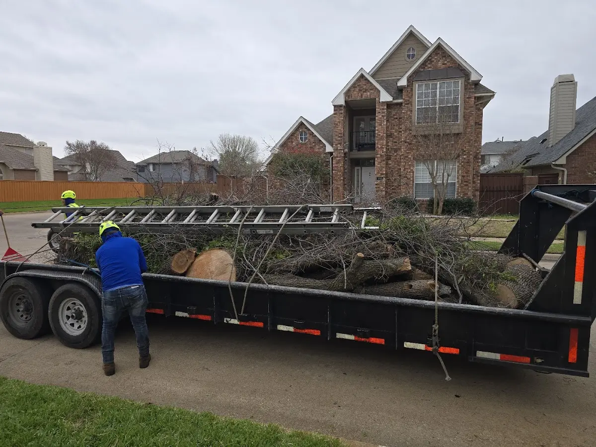 Expert Lot Clearing with proper safety equipment in Grainfield